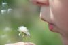 640010_blowing_dandelions.jpg