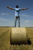 853035_harvest_freedom_2.jpg